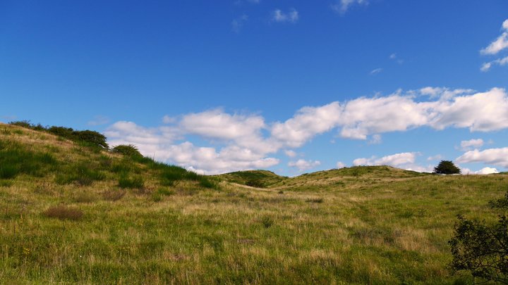 Hiddensee